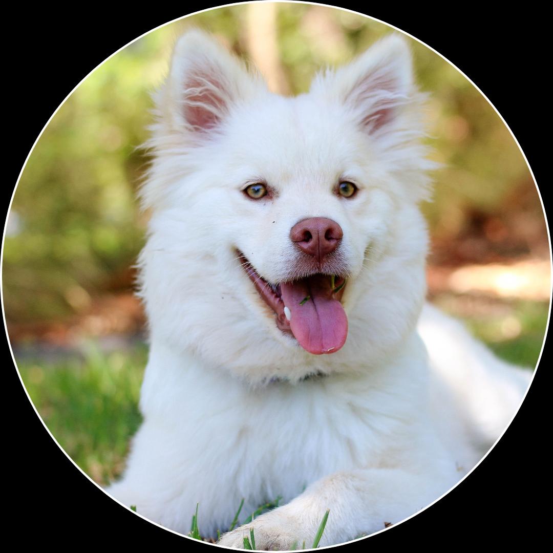 70a42b4c-4060-4345-b0b3-469f90db0ed7